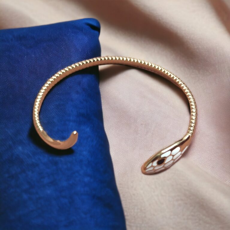 bracelet snacke élégant en acier inoxydable